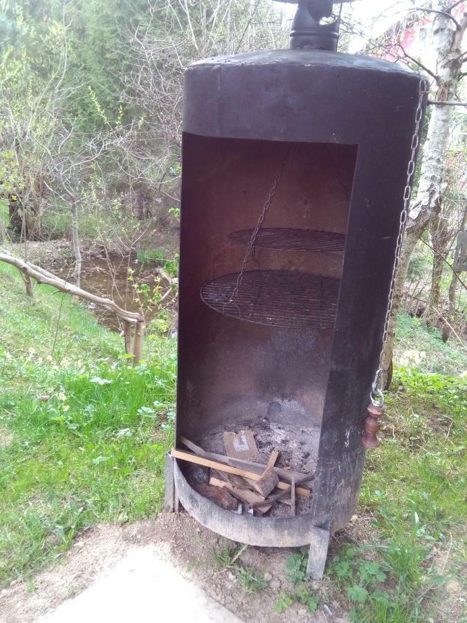 Jasionka Lägenhet Ustrzyki Dolne Exteriör bild